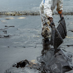 NEXT - Oil Spill