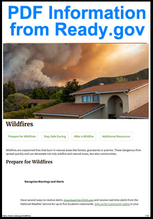 PDF Information from Ready.gov