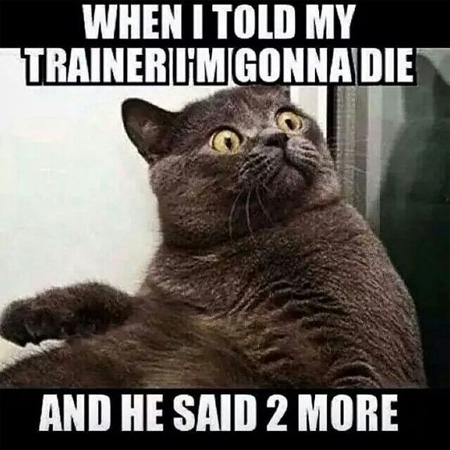 When I told my trainer I'm gonna die, and he said 2 MORE!