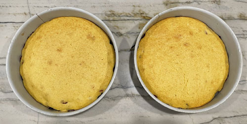 Nantucket Cake Starting to Brown