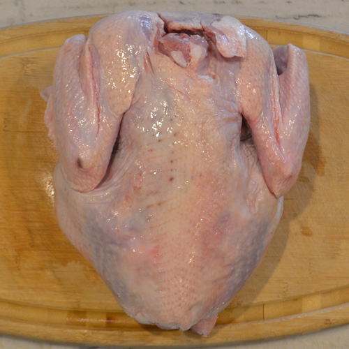 Thawed Turkey