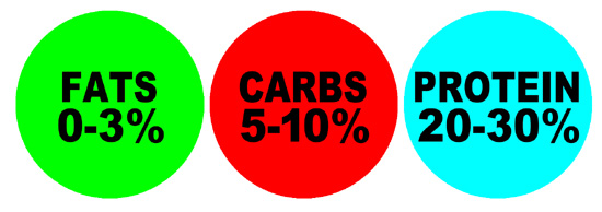 Fat, Protein and Carb Calorie Burning