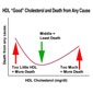 Cholesterol Shock: Why Too Much 'Good' Can Be Bad