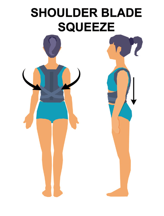 Shoulder Blade Squeeze