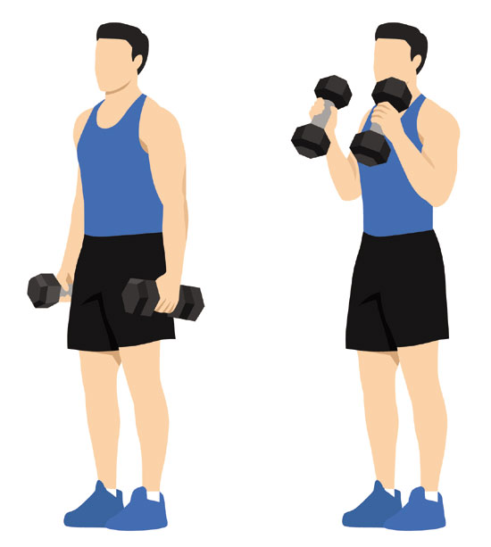 Hammer Curl