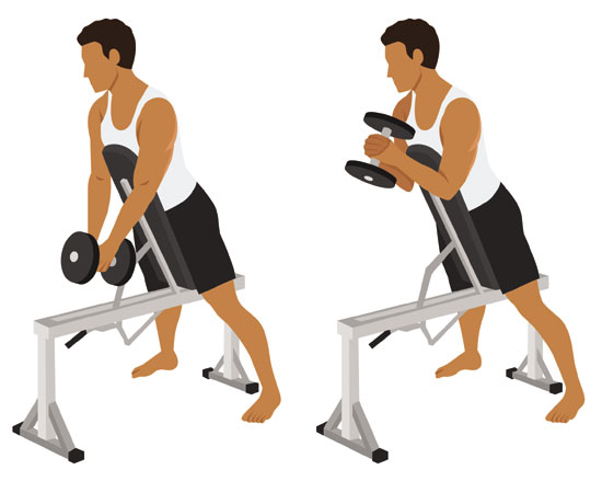 Single Dumbbell Spider Curl