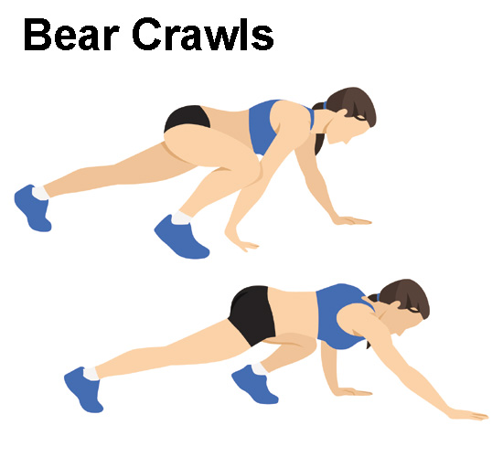 Bear Crawls