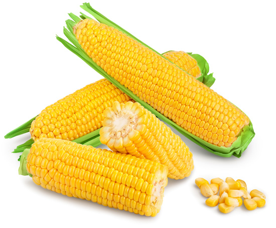 Sweet Corn