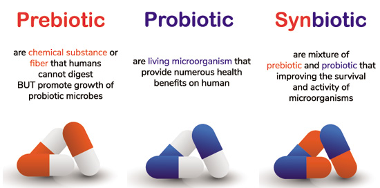 Prebiotic - Probiotic - Synbiotic Definitions