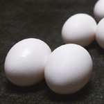 Eggs - Egg Whites
