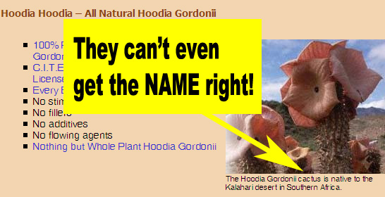 They can't even get the NAME right. Hoodia isn't a cactus...it's a succulant.