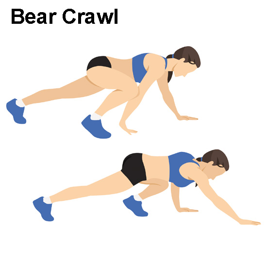 Bear Crawl