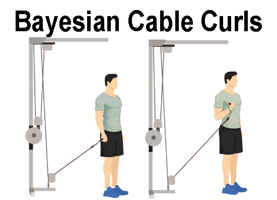 Bayesian Cable Curls
