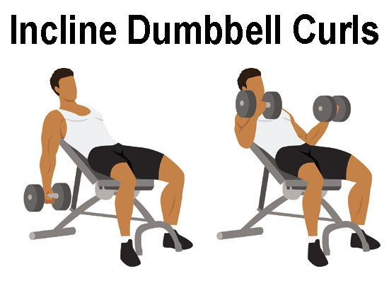 Incline Dumbbell Curls