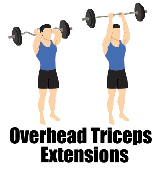 Overhead Triceps Extensions