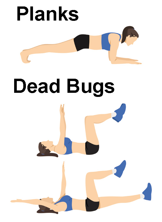 Planks and Dead Bugs