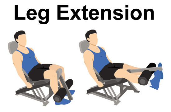 Leg Extensions