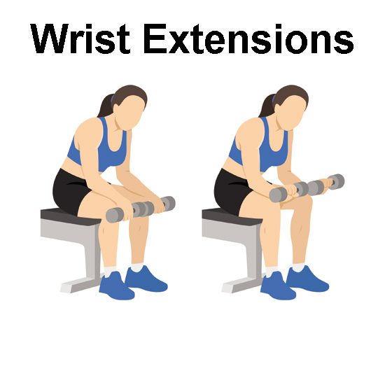 Wrist Extensions