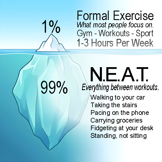 NEAT Infographic