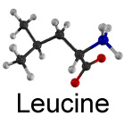 Leucine