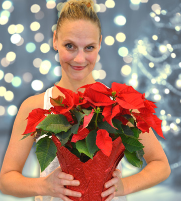 Poinsettias can trigger allergies.