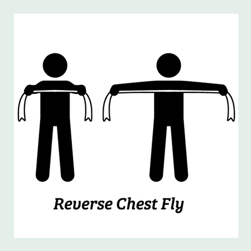Reverse Chest Fly