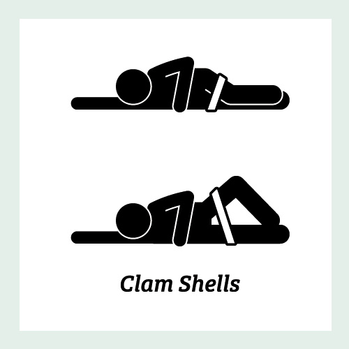 Clam Shells