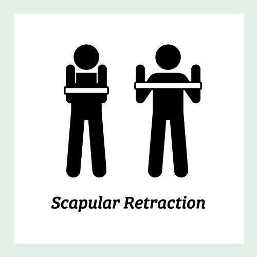 Scapular Retraction