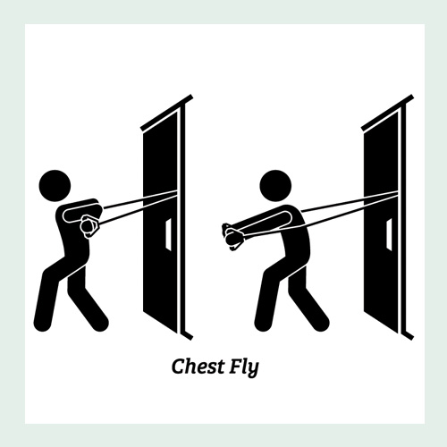 Chest Fly