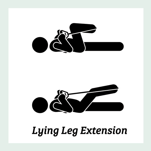 Lying Leg Extension