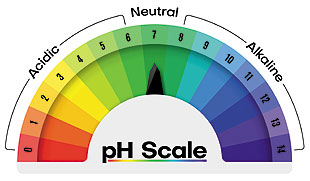 pH Scale